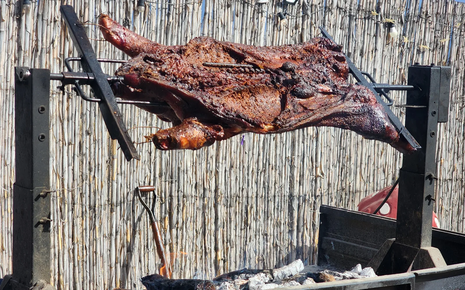 Chivo abierto a la cruz, girando frente al fuego
