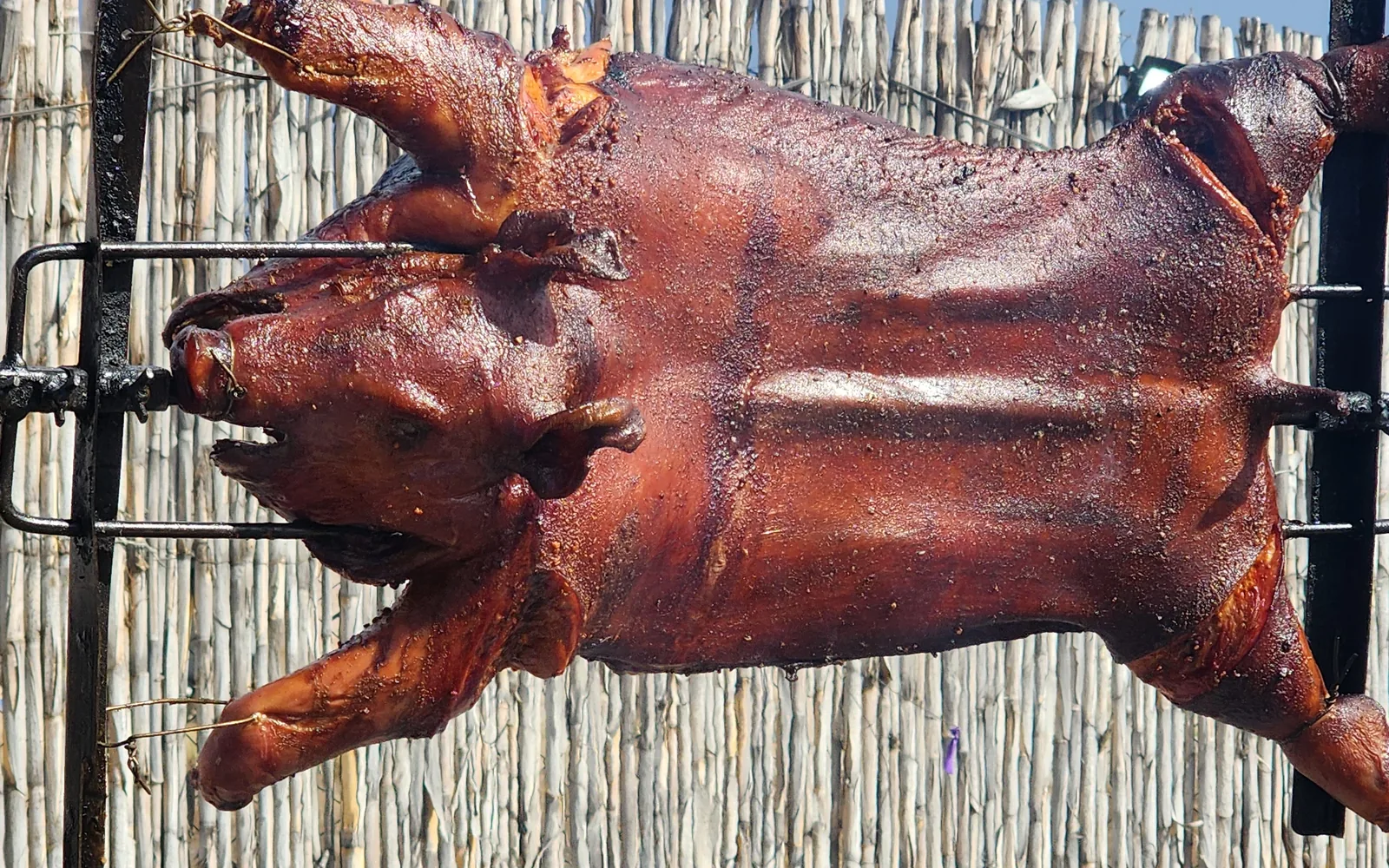 Lechón dorado girando en el espiedo
